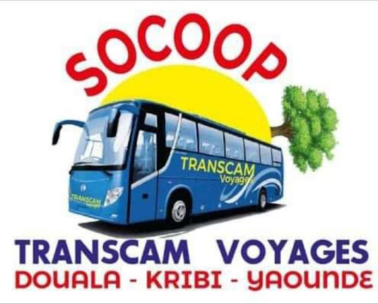 TRANSCAM VIP Douala